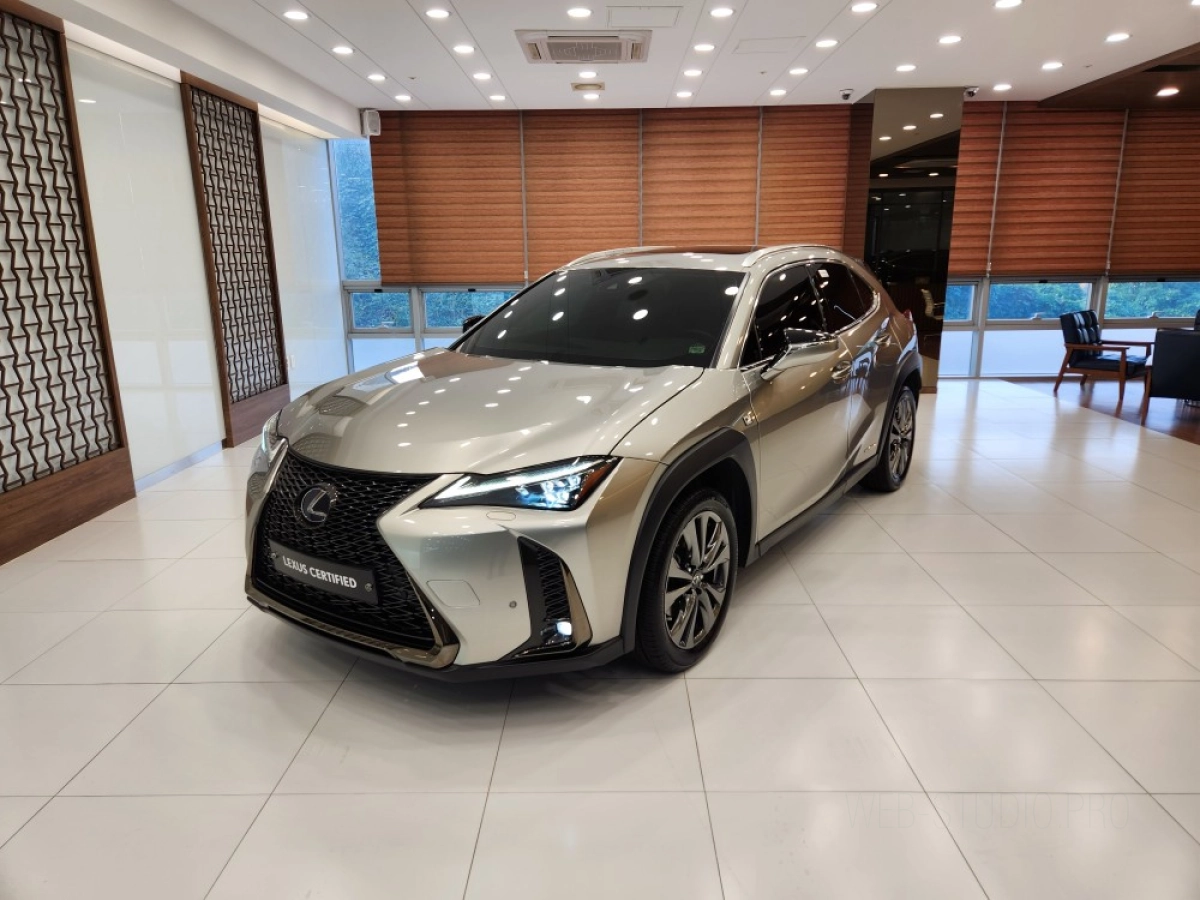 LEXUS UX250H