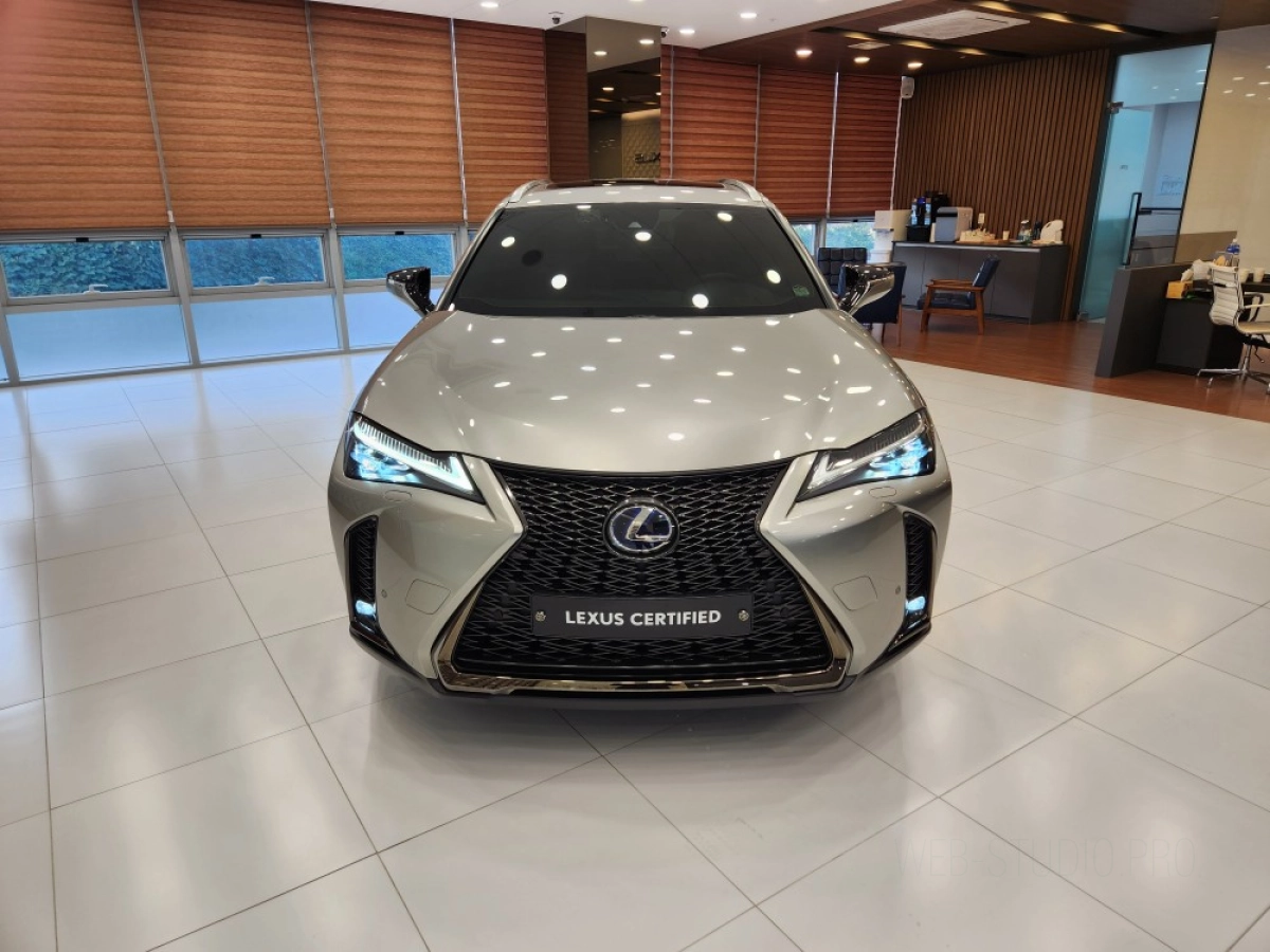LEXUS UX250H