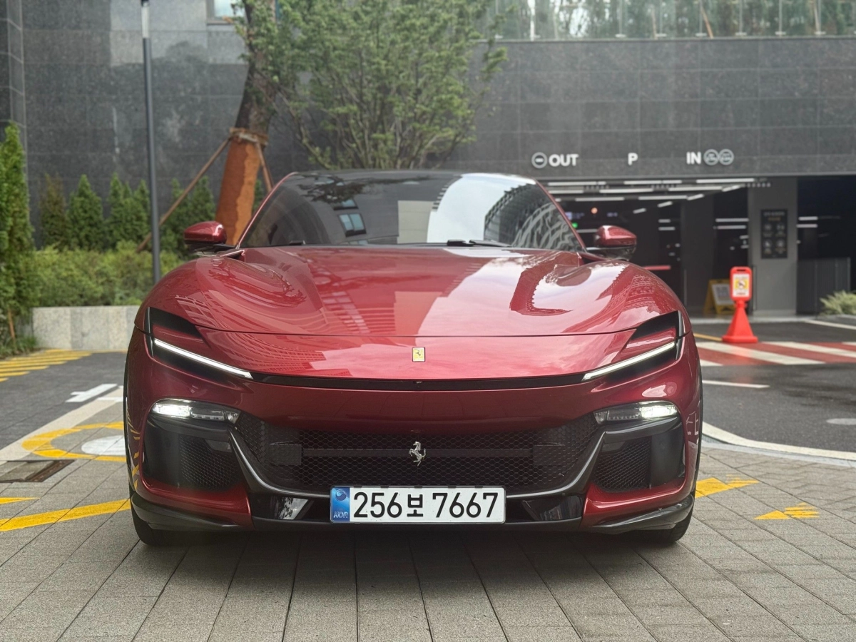 FERRARI PUROSANGUE  2024