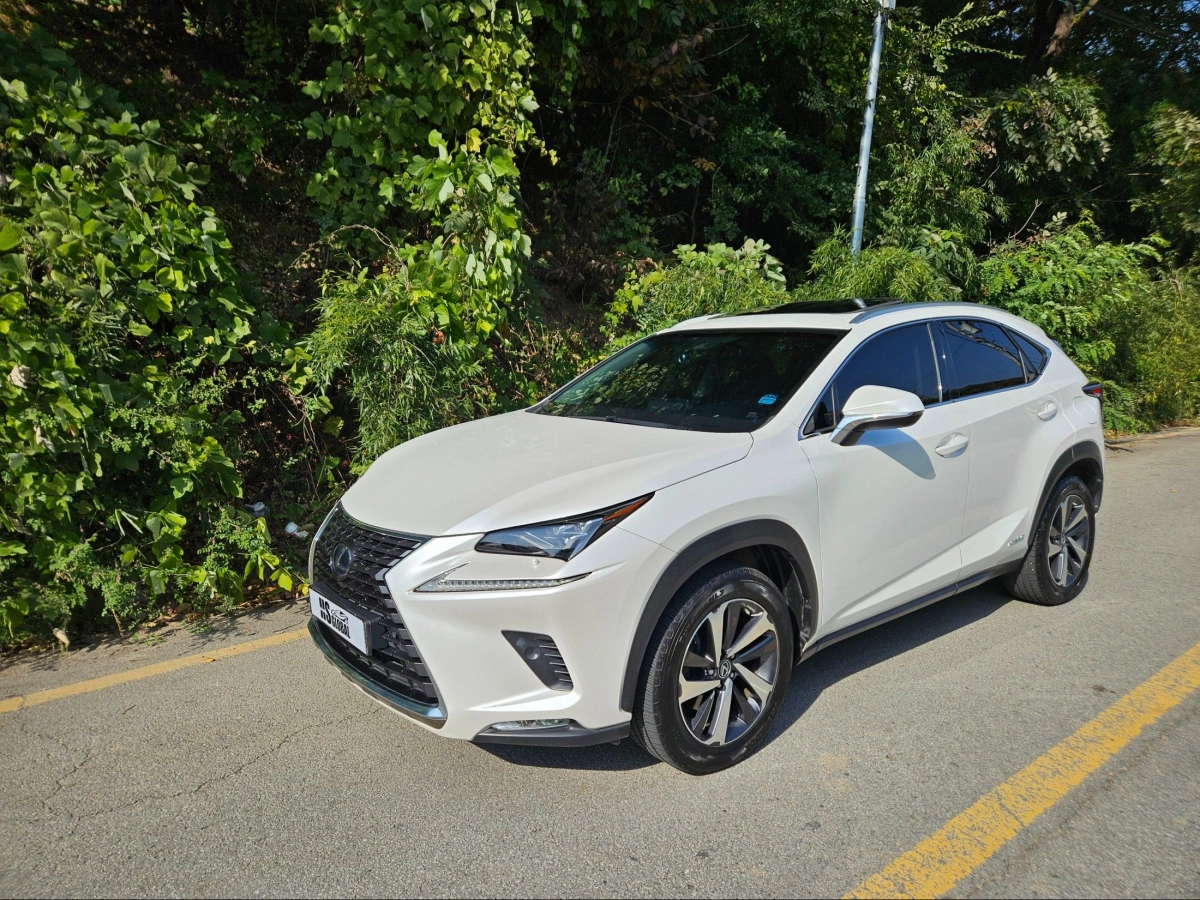 LEXUS NX300H  2019