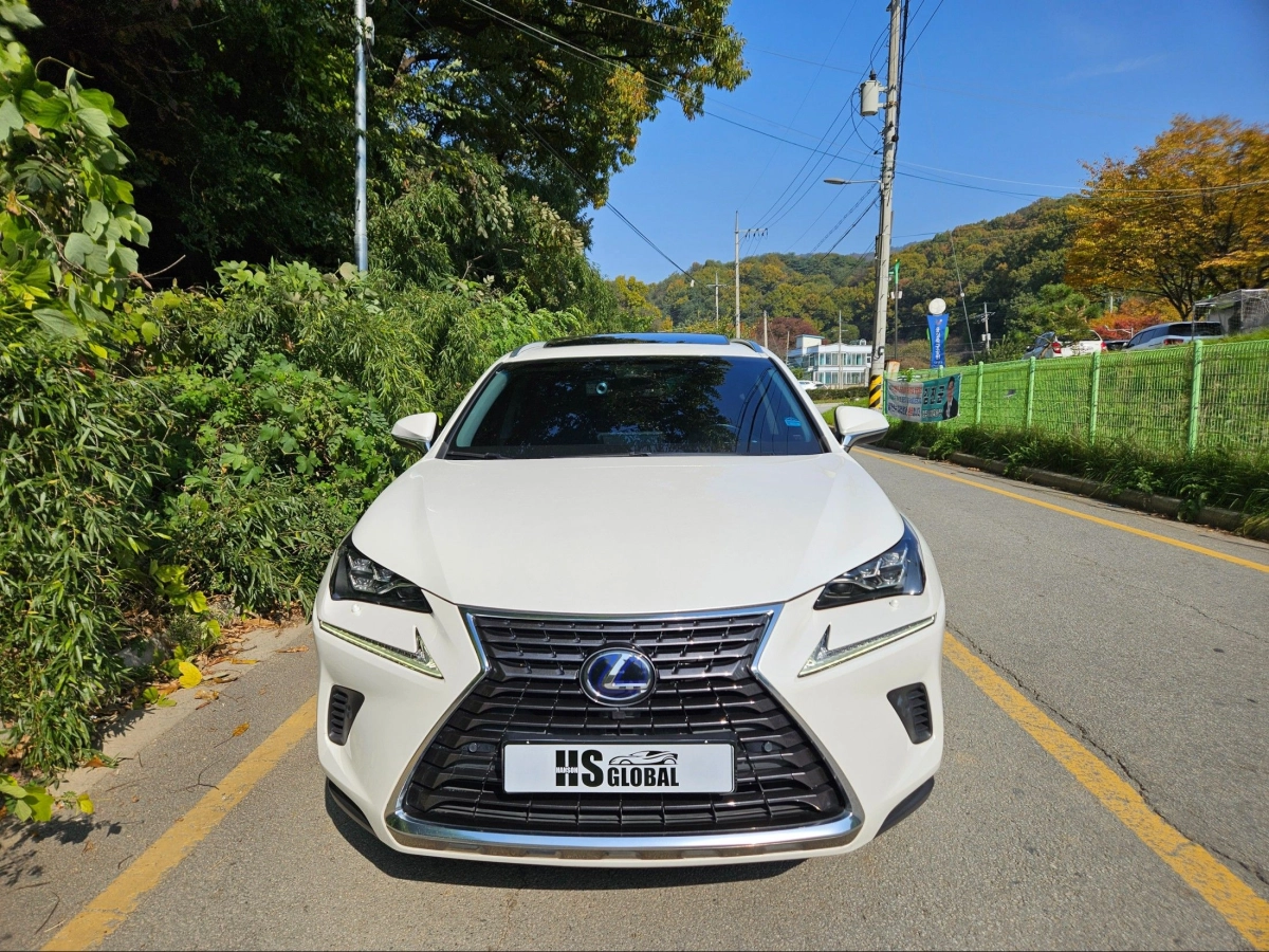 LEXUS NX300H