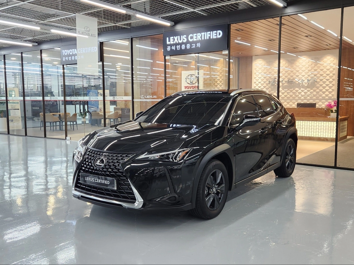 LEXUS UX300H  2024