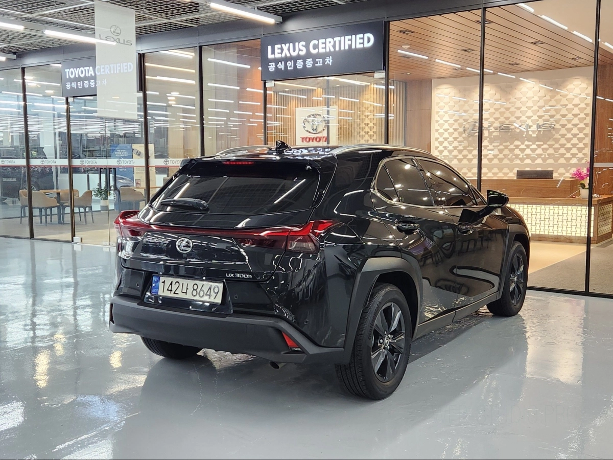 LEXUS UX300H