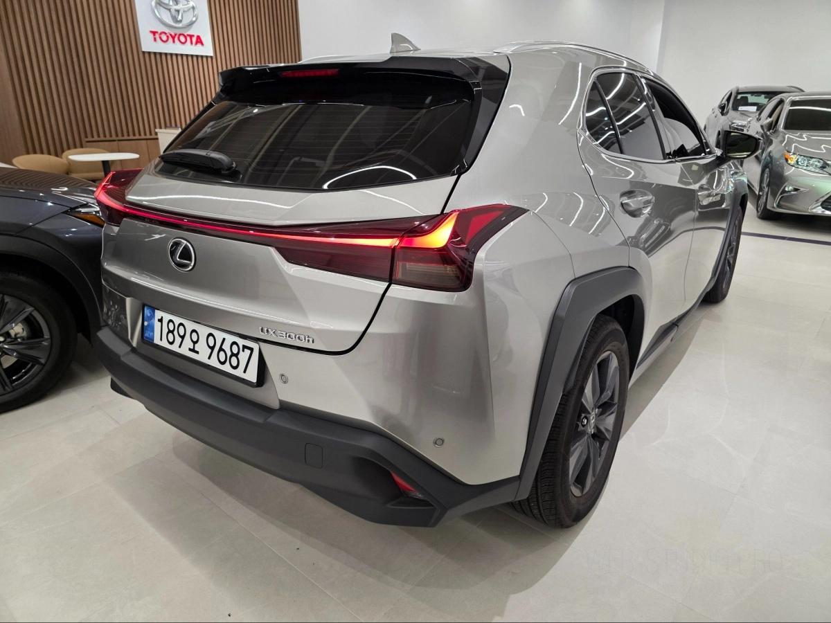 LEXUS UX300H