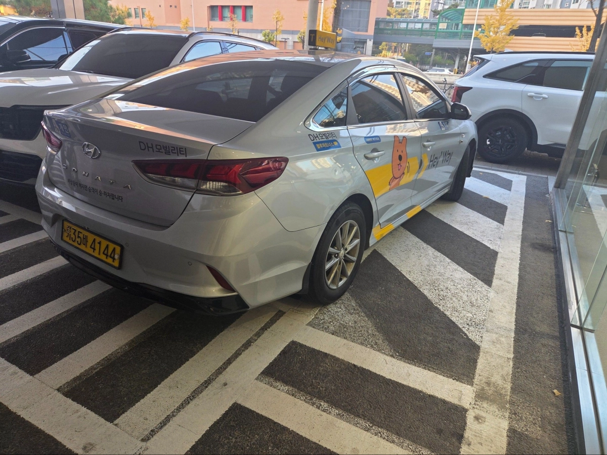 HYUNDAI SONATA NEW RISE