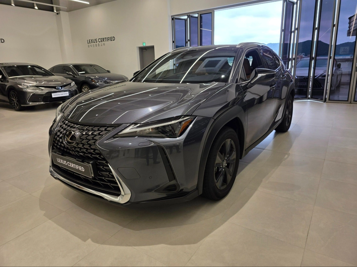 LEXUS UX300H  2025