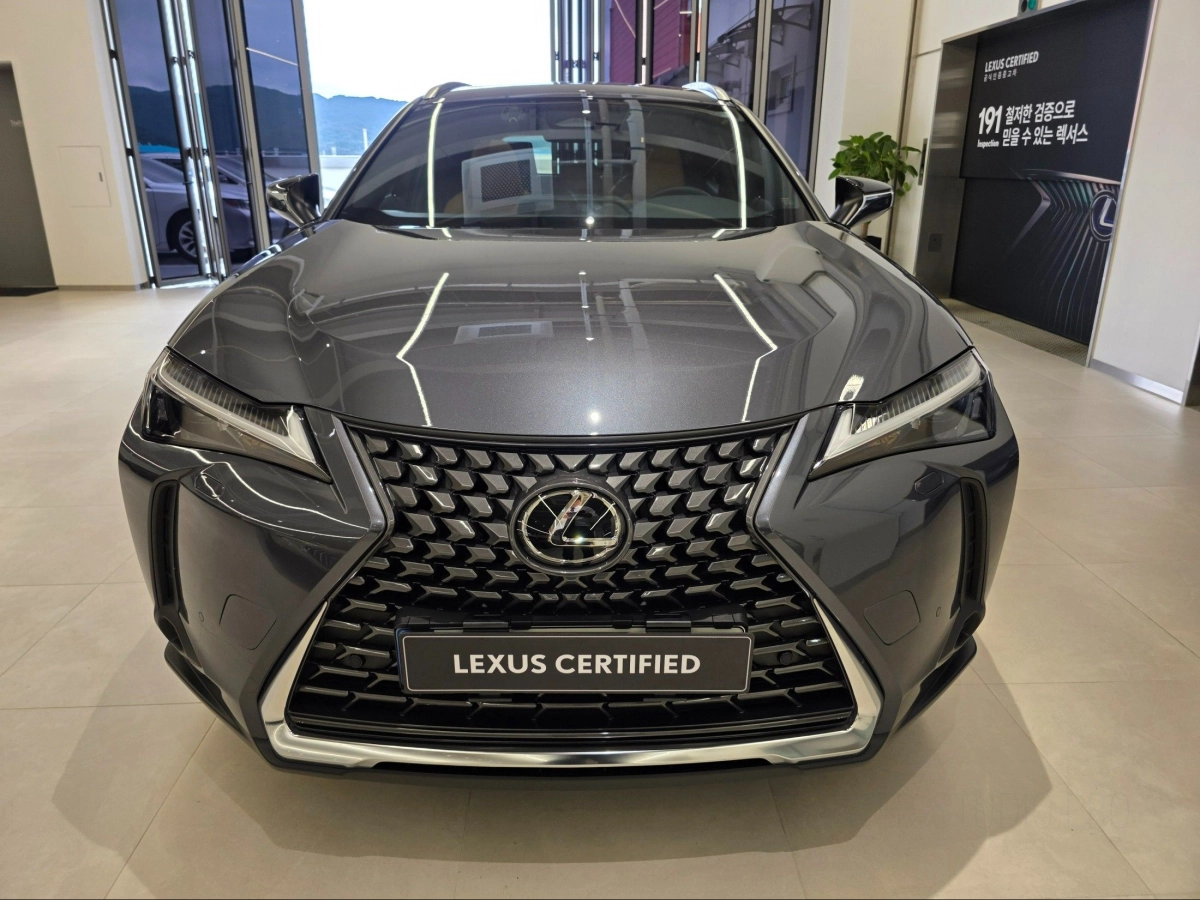 LEXUS UX300H