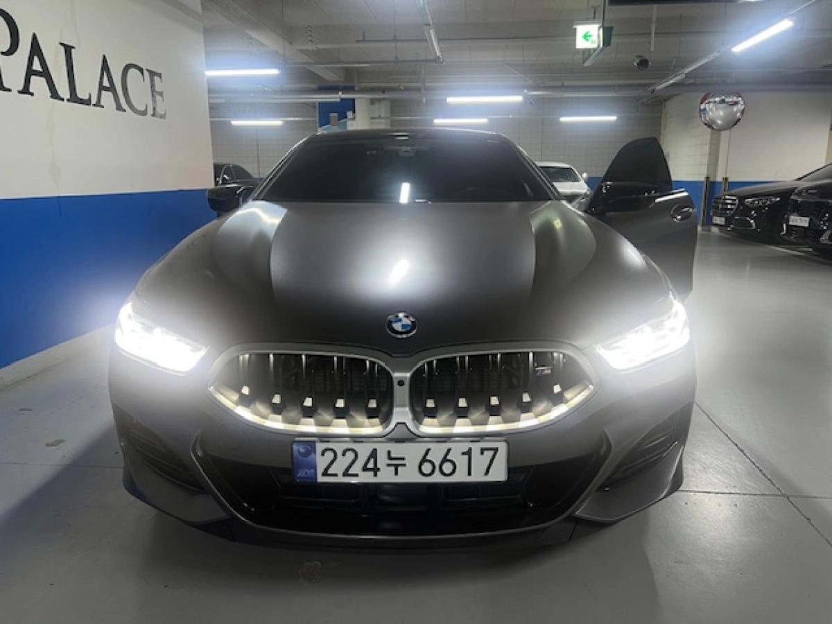 BMW 8-SERIES G15