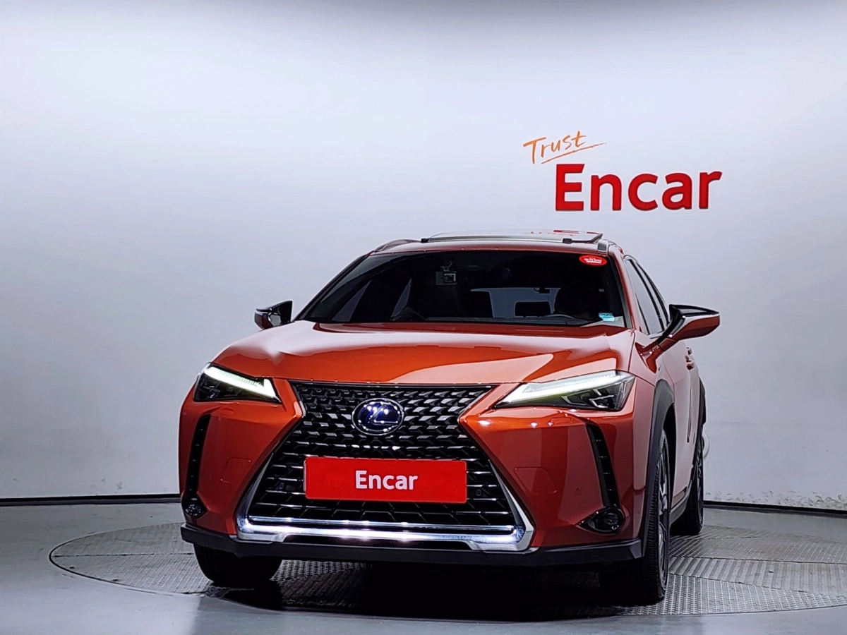 LEXUS UX250H
