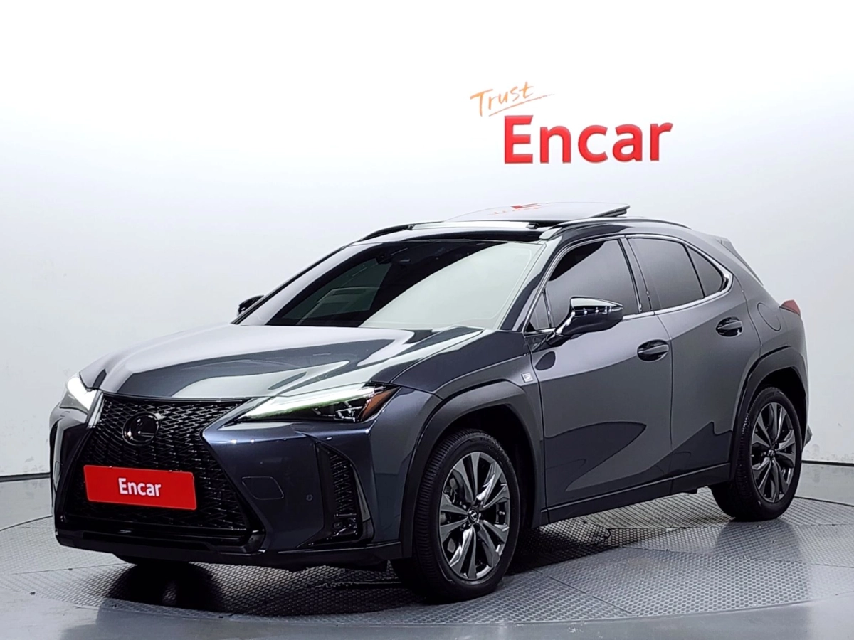 LEXUS UX250H