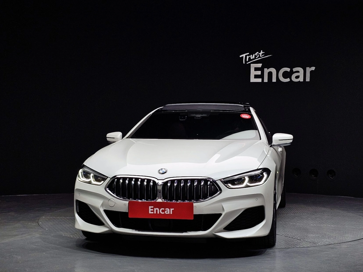 BMW 8-SERIES G15