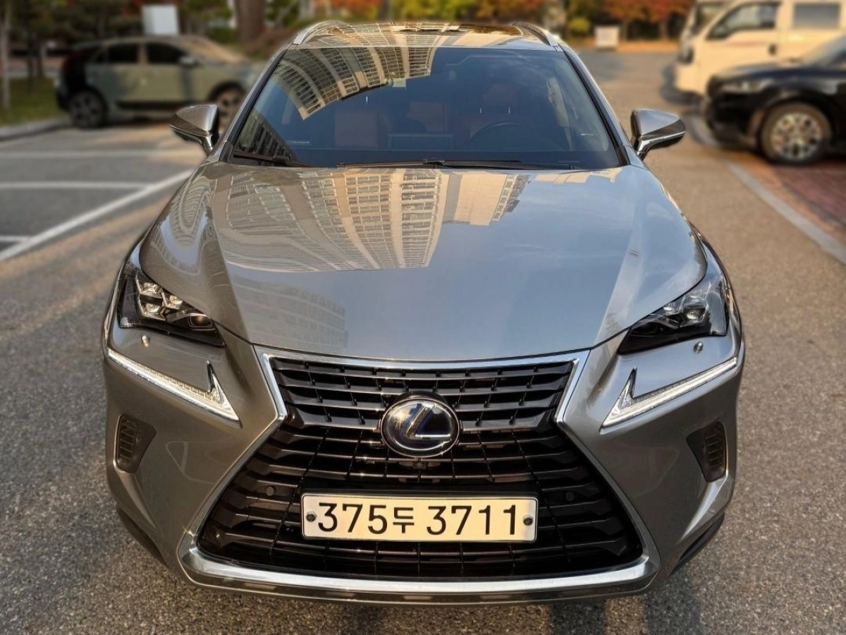 LEXUS NX300H
