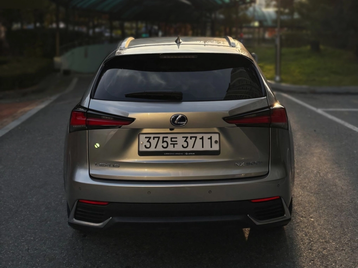 LEXUS NX300H