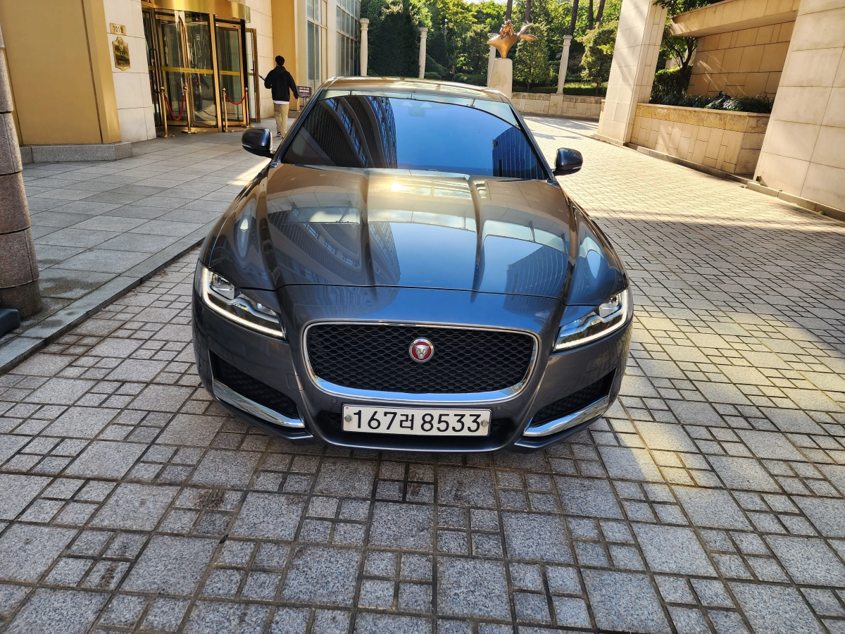 JAGUAR XF X260