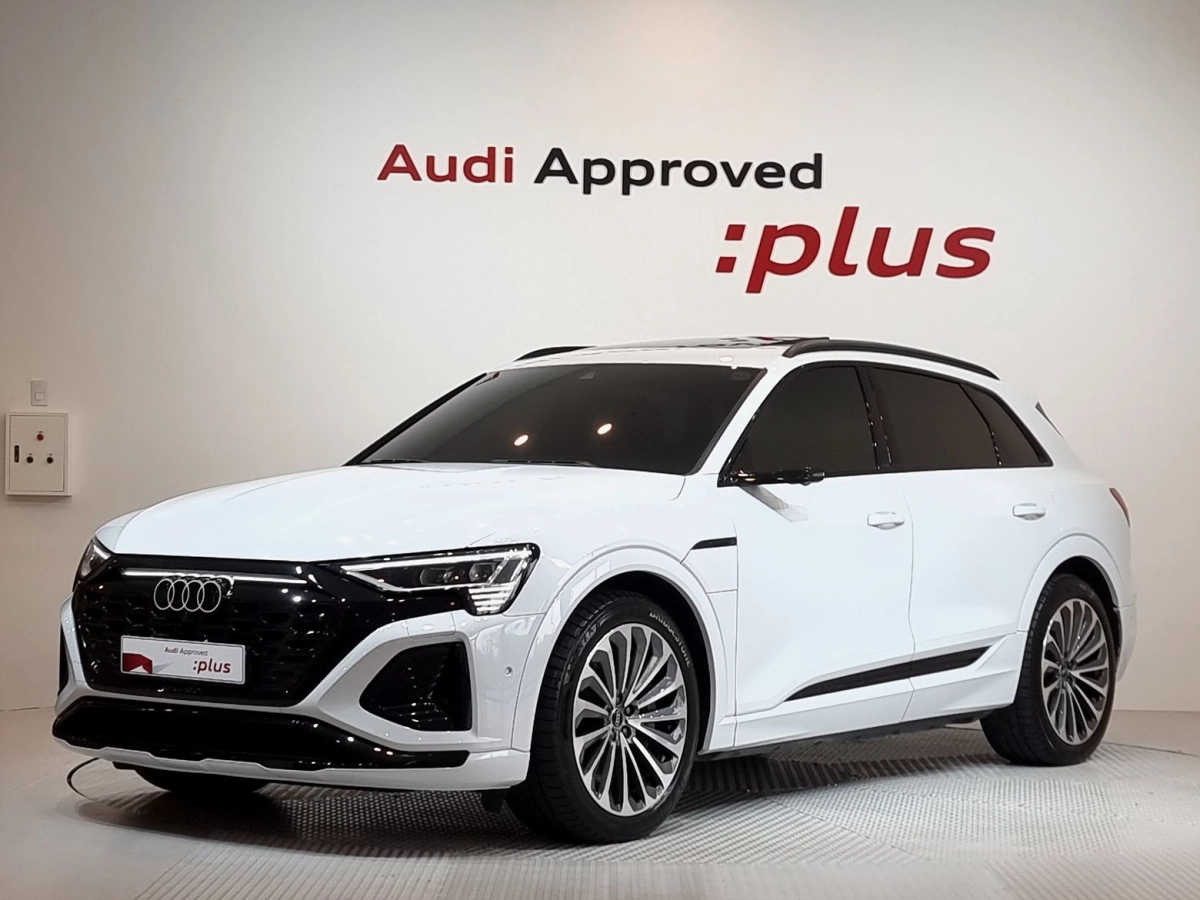 AUDI Q8 E-TRON GE  2024
