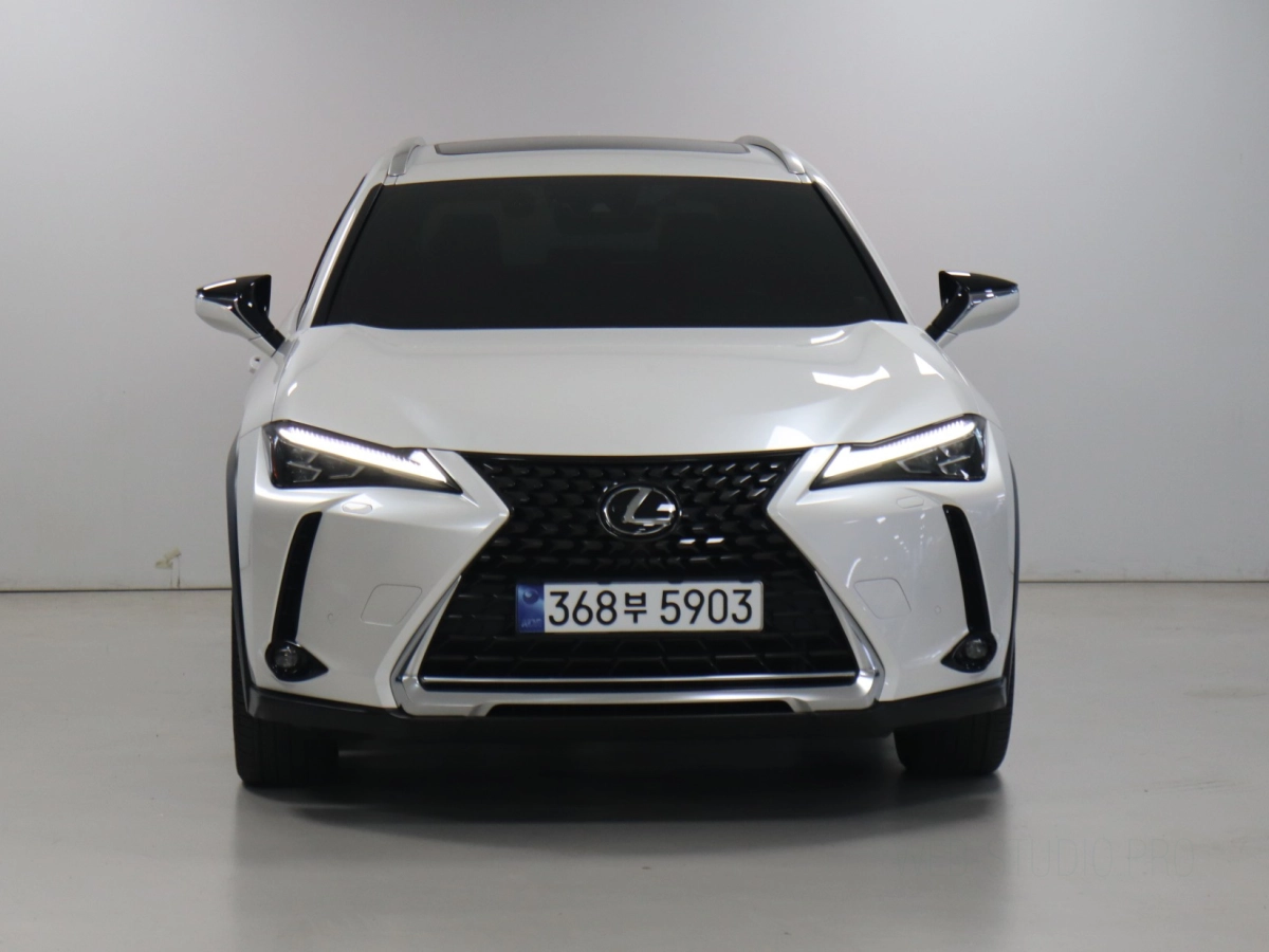LEXUS UX250H