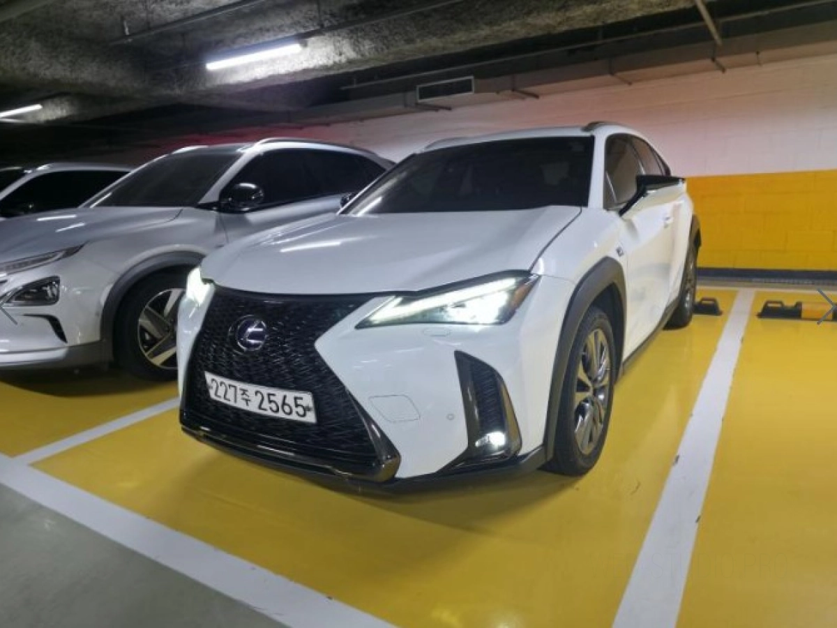 LEXUS UX250H