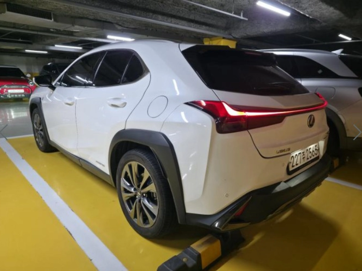 LEXUS UX250H