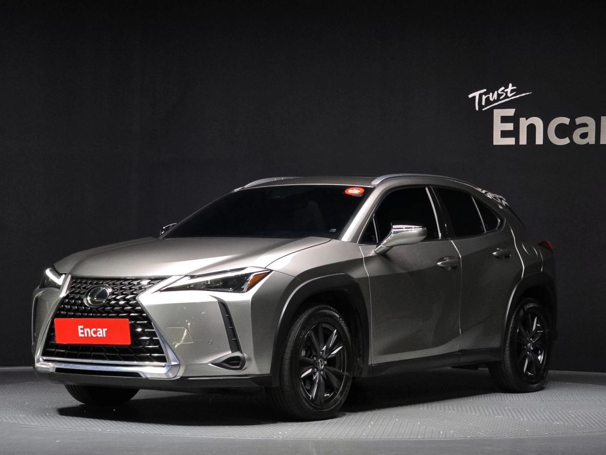 LEXUS UX250H