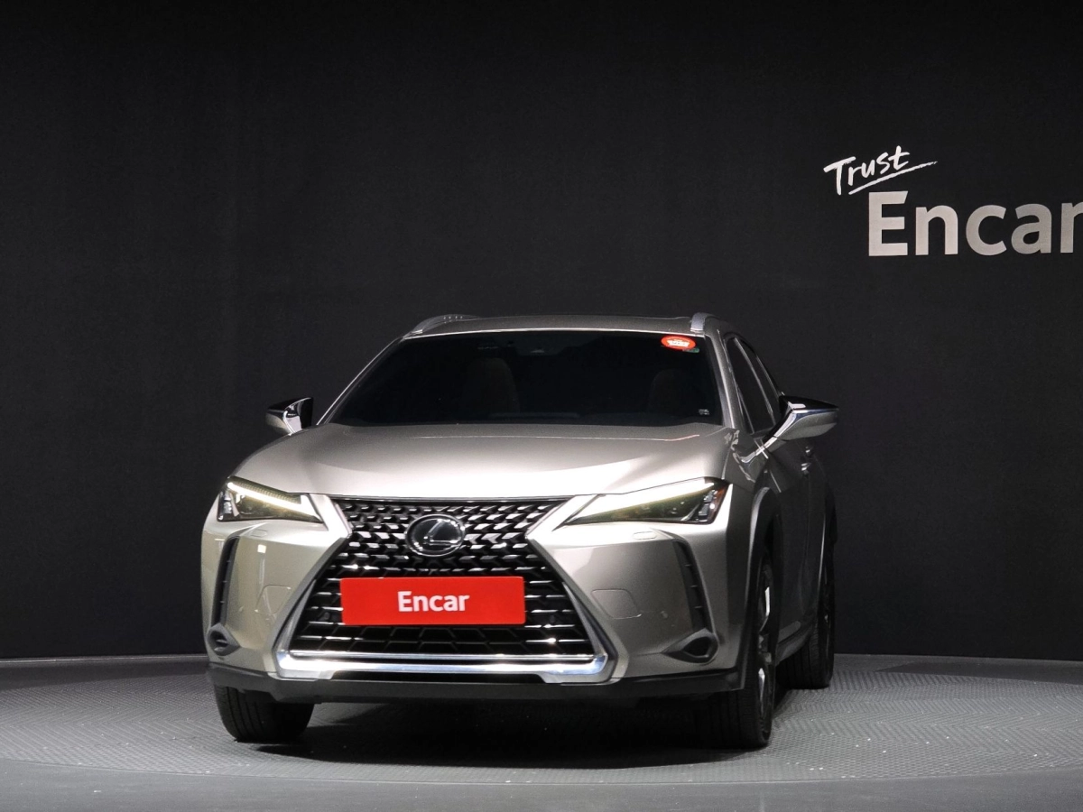 LEXUS UX250H