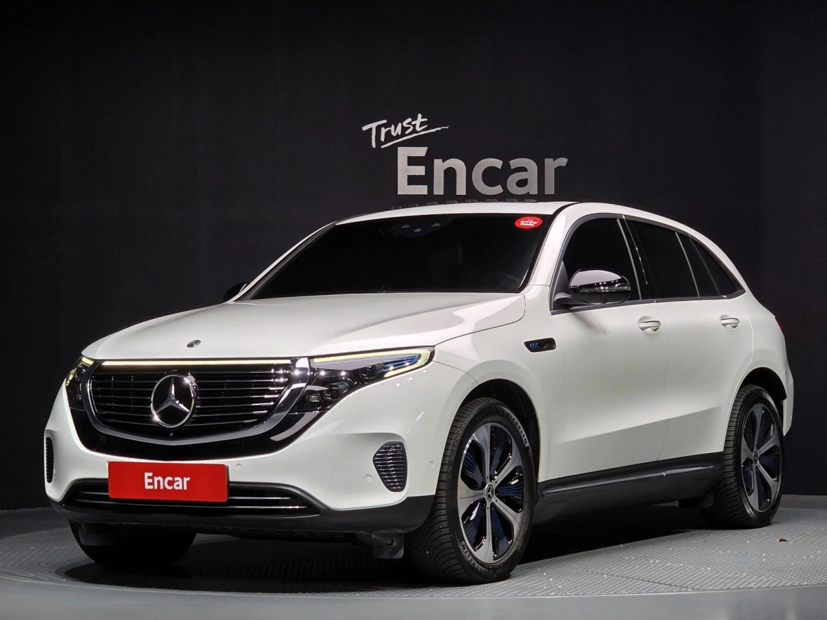 MERCEDES BENZ EQC N293