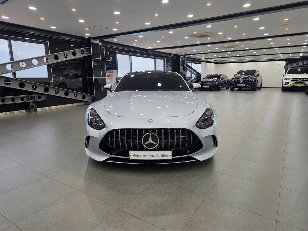 MERCEDES BENZ AMG GT C192