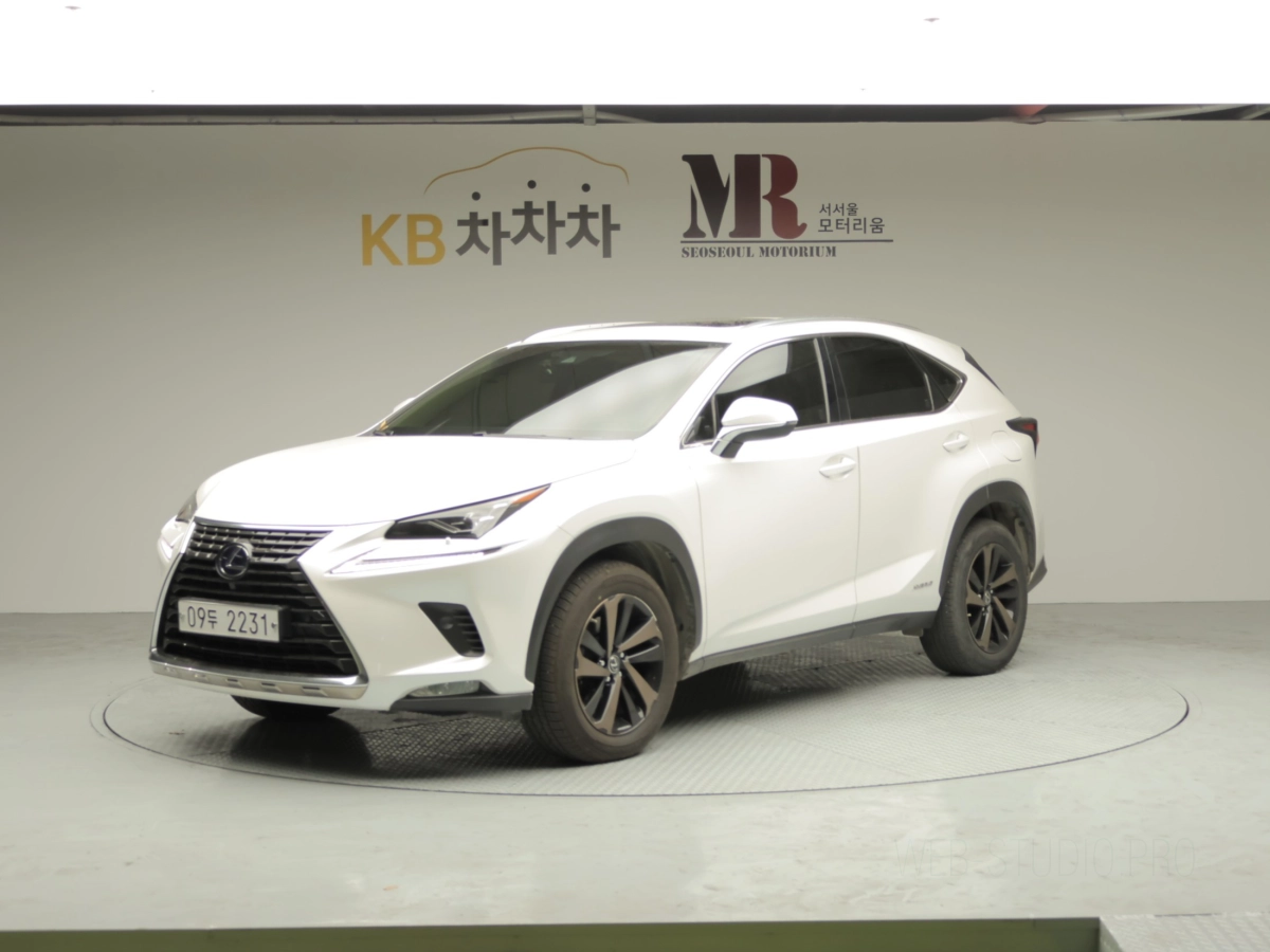 LEXUS NX300H  2019
