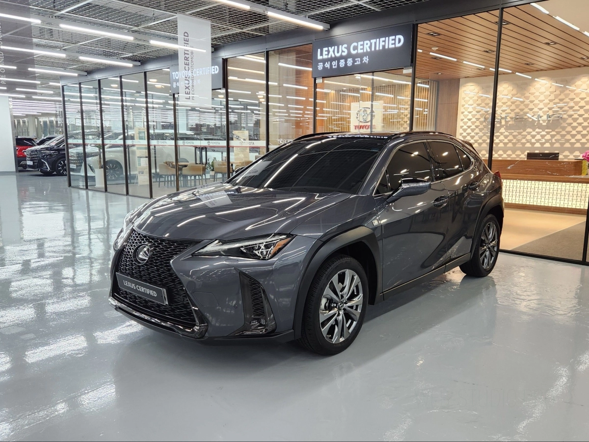 LEXUS UX250H