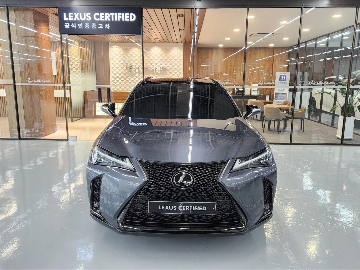 LEXUS UX250H