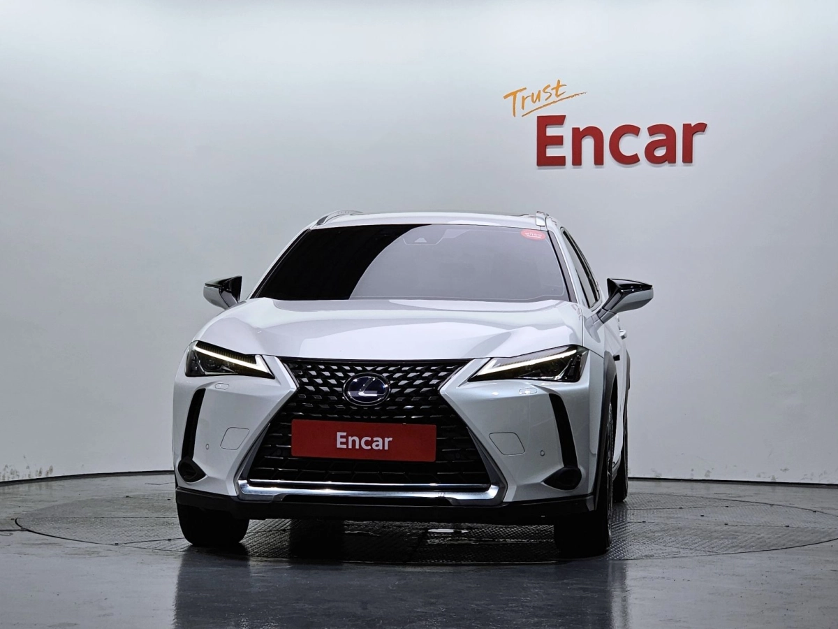 LEXUS UX250H