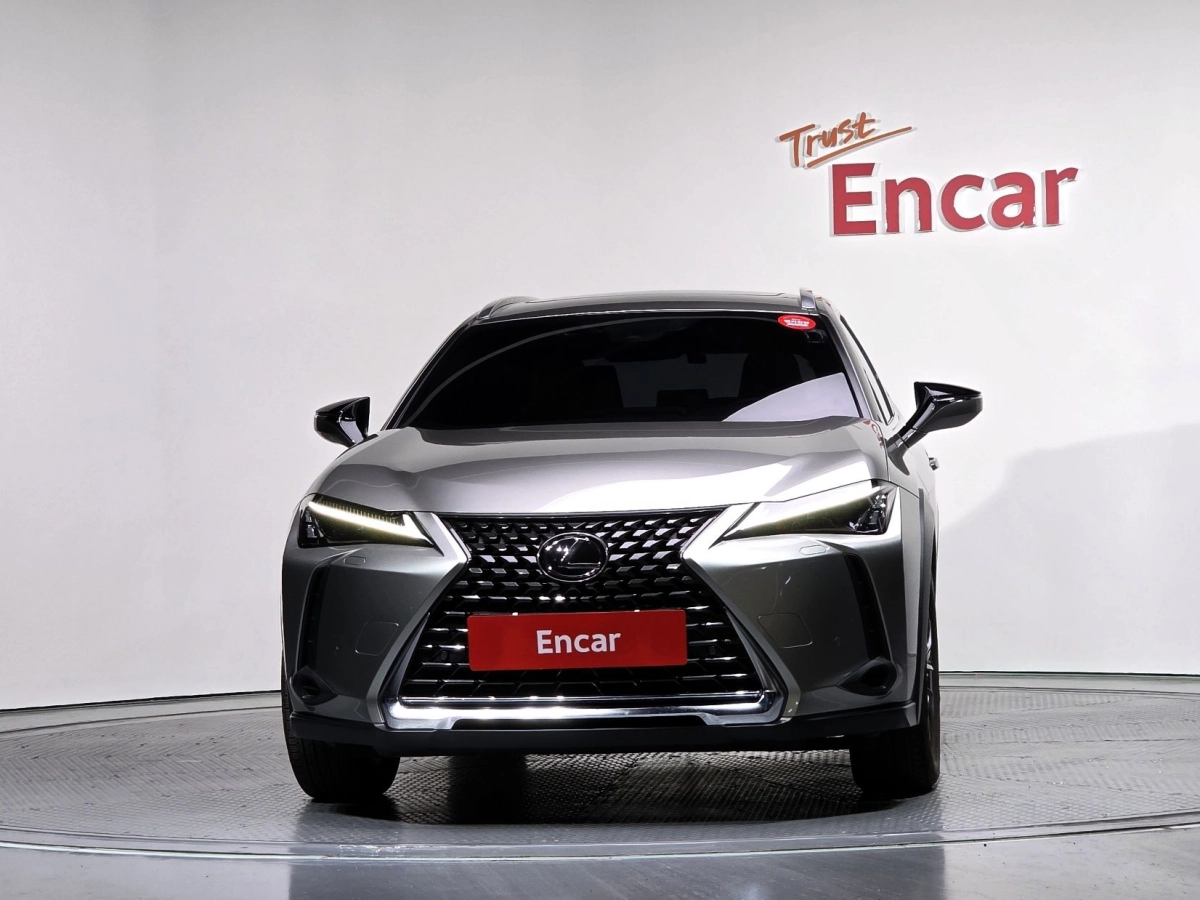LEXUS UX250H
