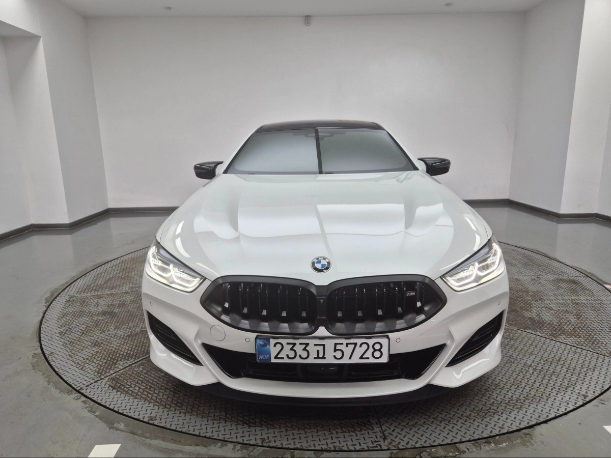 BMW 8-SERIES G15