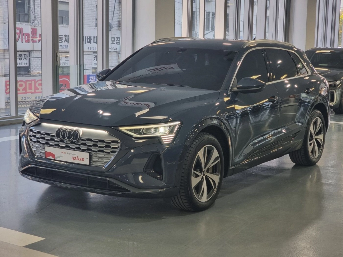 AUDI Q8 E-TRON GE  2024