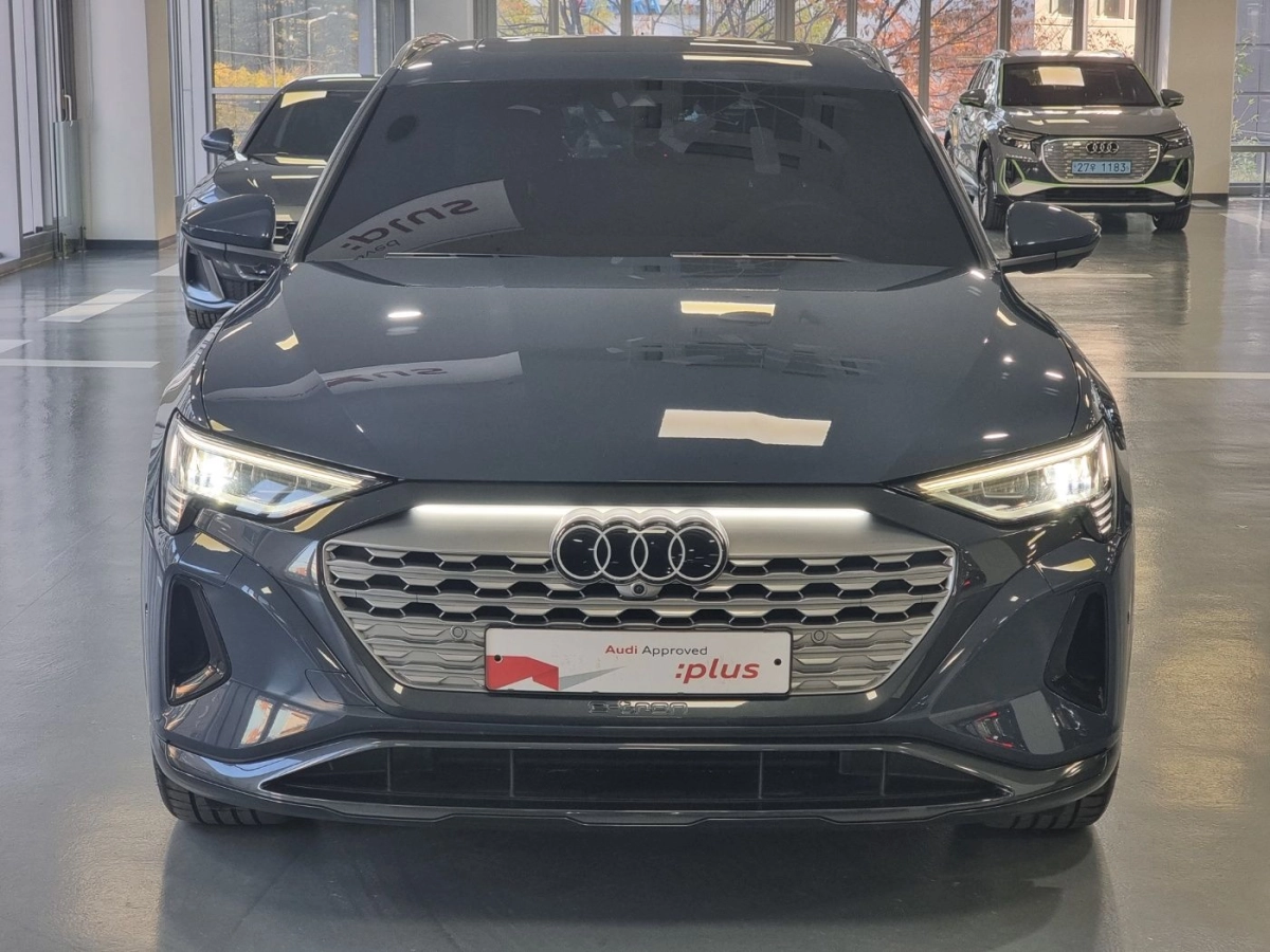 AUDI Q8 E-TRON GE
