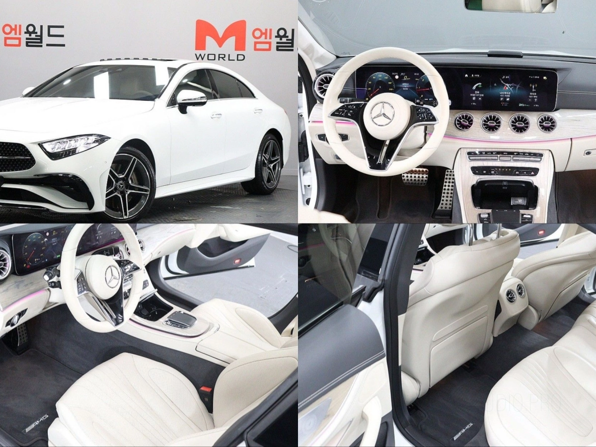 MERCEDES BENZ CLS-CLASS C257  2023