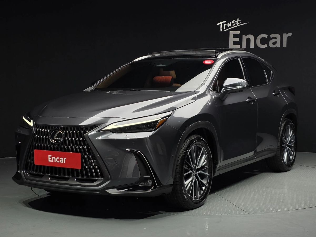 LEXUS NX350H  2024