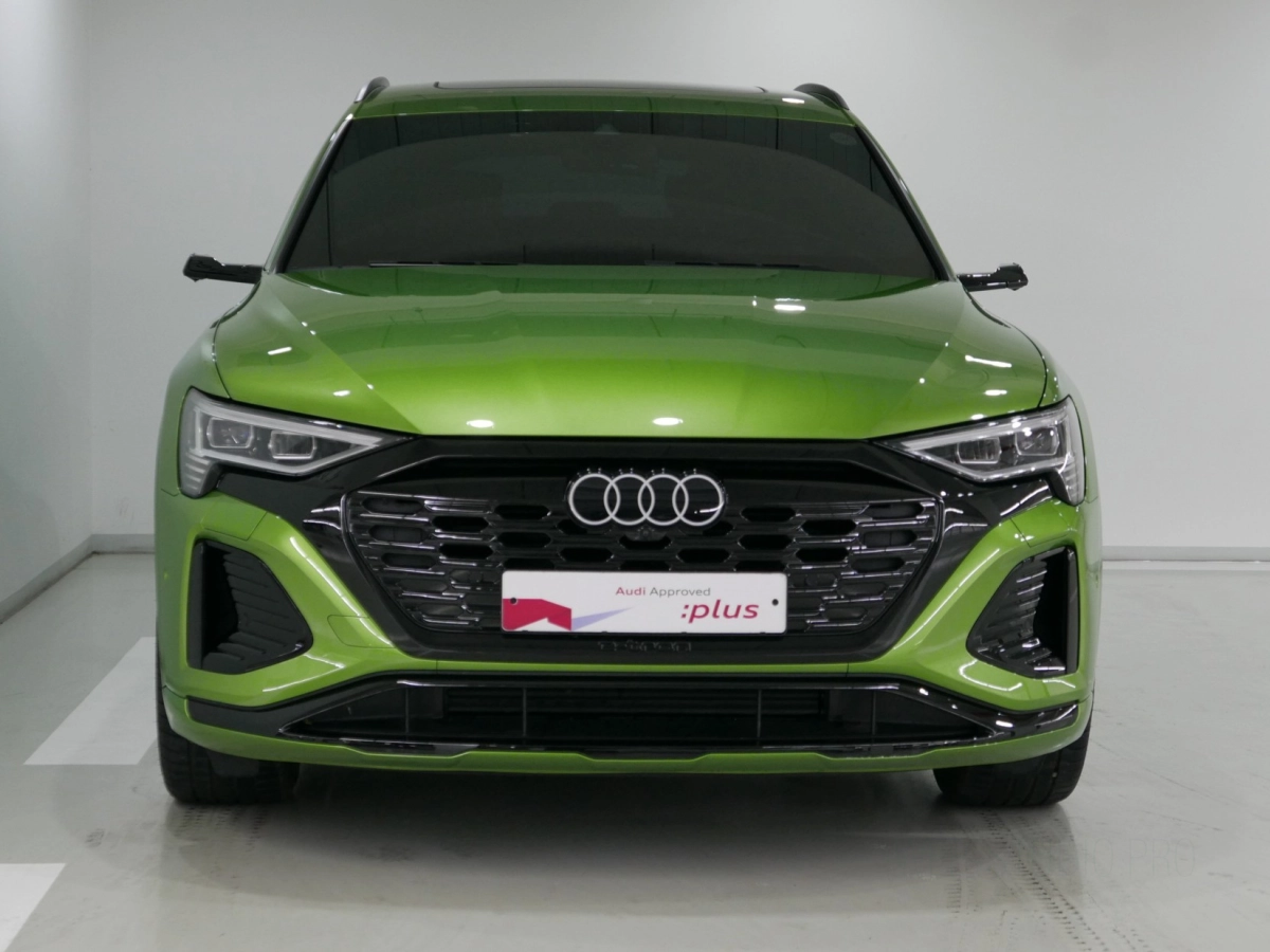 AUDI Q8 E-TRON GE