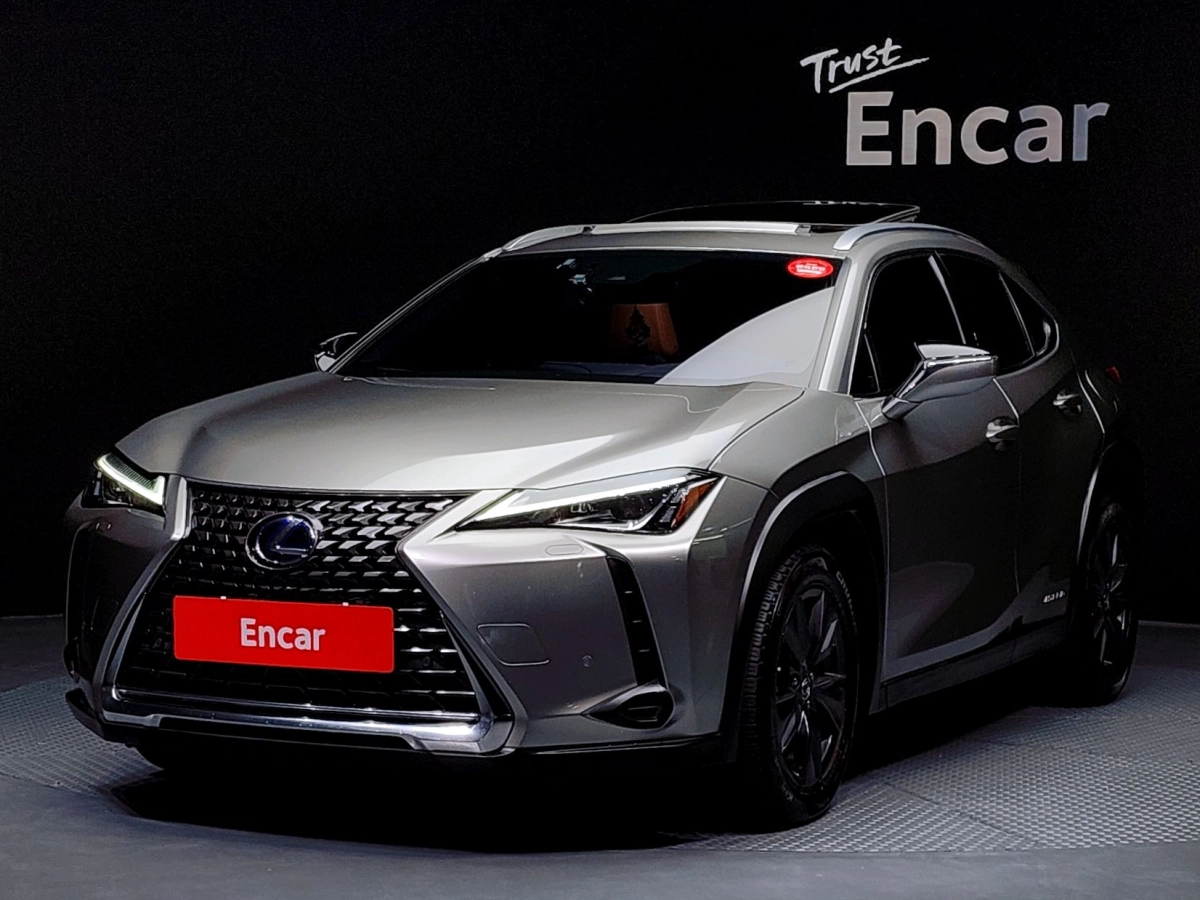 LEXUS UX250H  2019