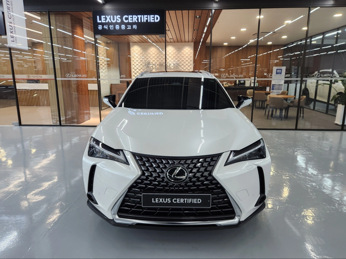 LEXUS UX300H