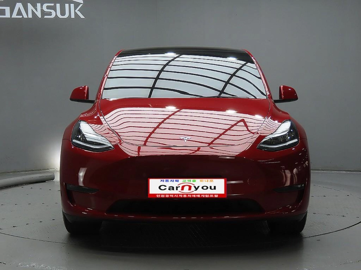 TESLA MODEL Y  2021