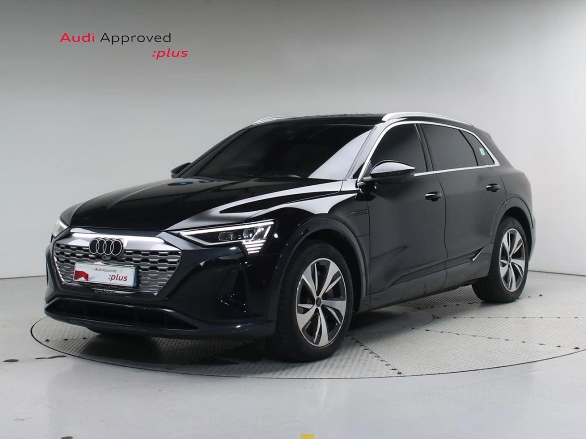 AUDI Q8 E-TRON GE  2024