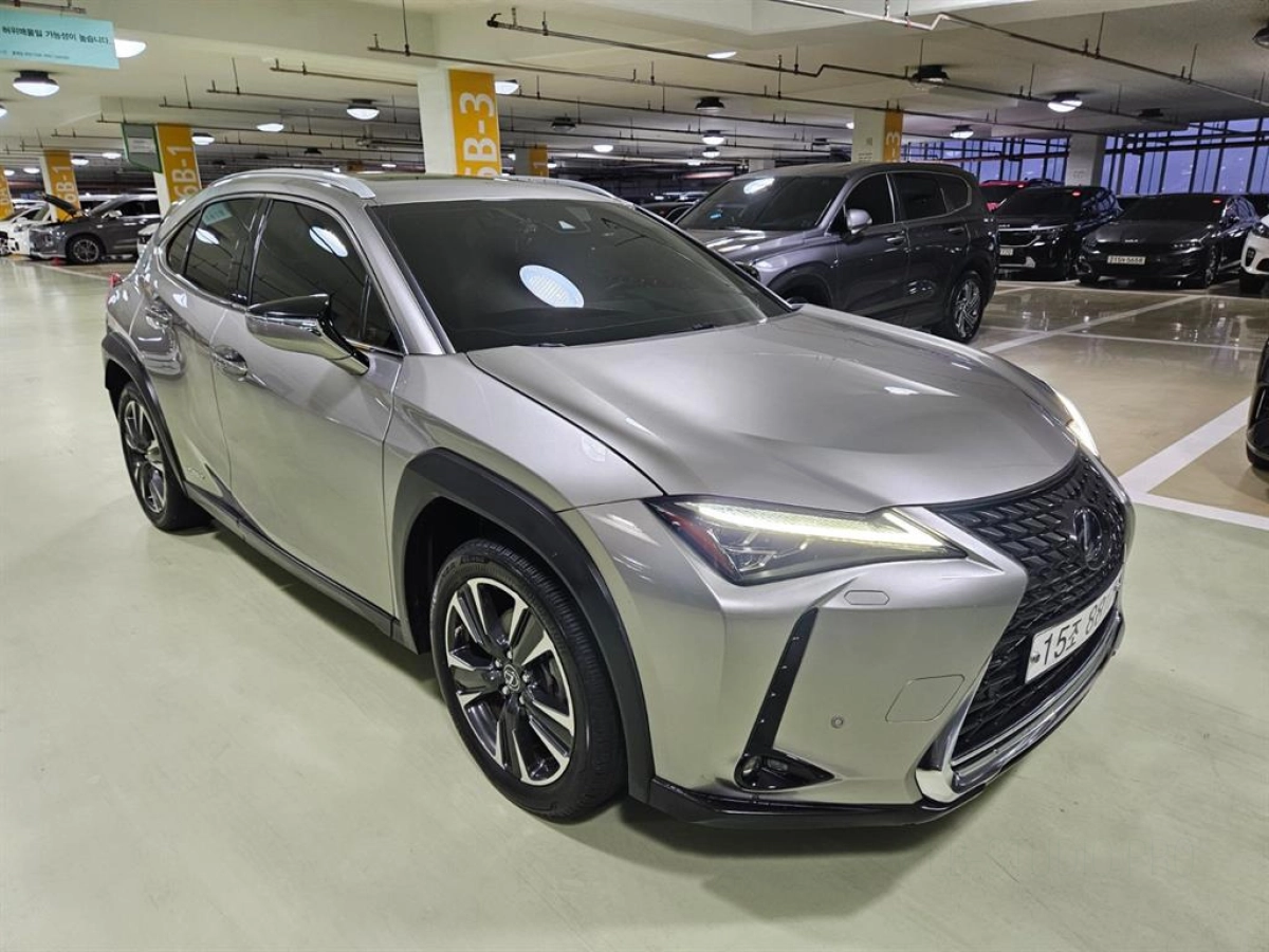 LEXUS UX250H  2019