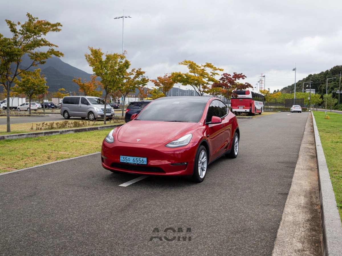 TESLA MODEL Y