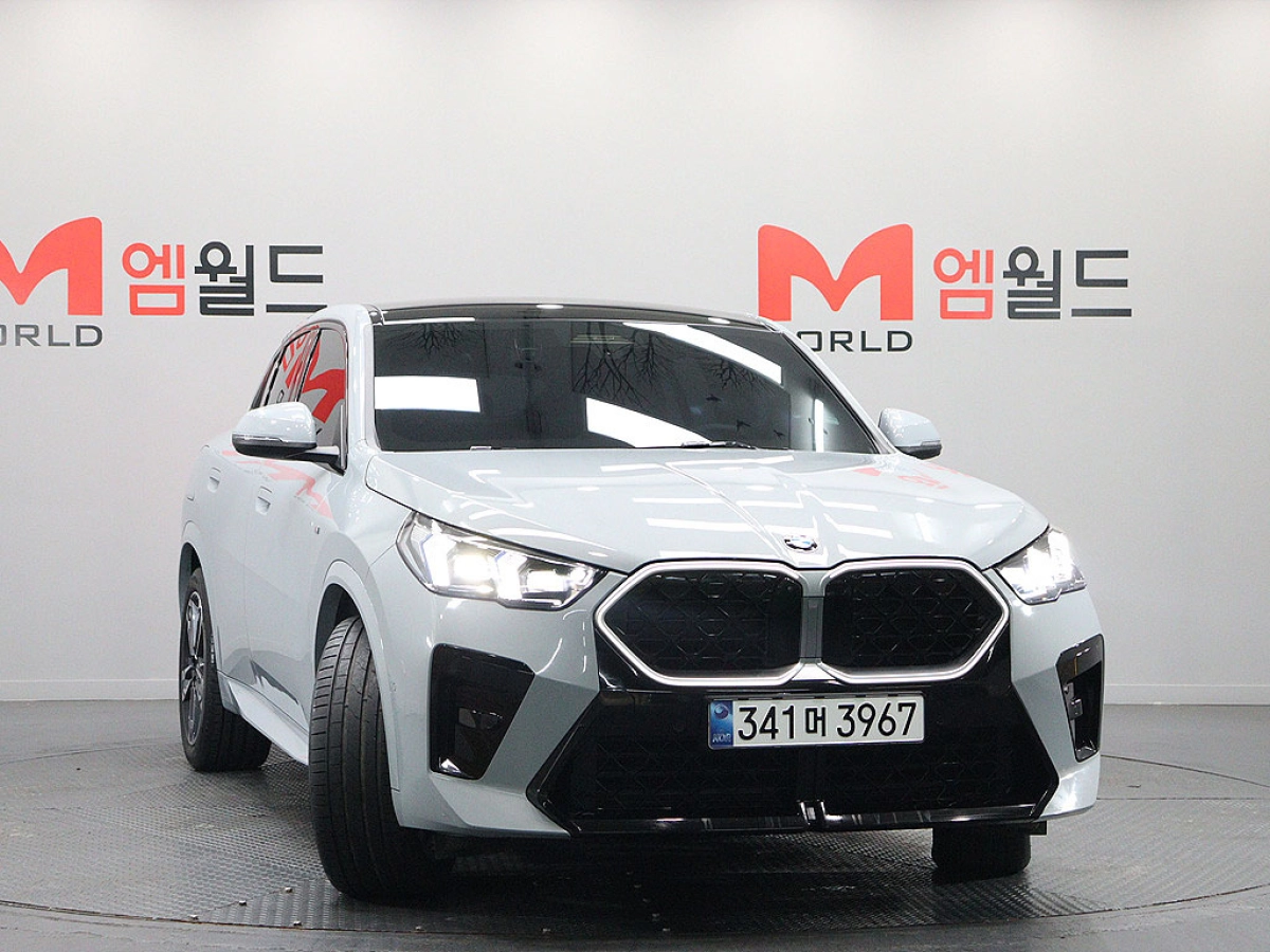 BMW X2 F39 U10