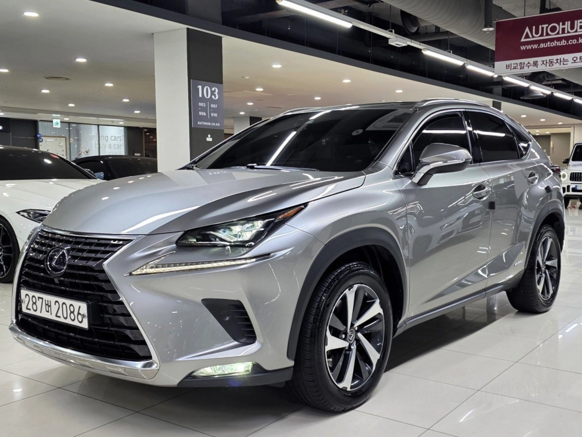 LEXUS NX300H  2021