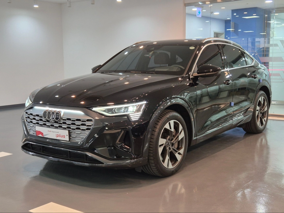 AUDI Q8 E-TRON GE  2024