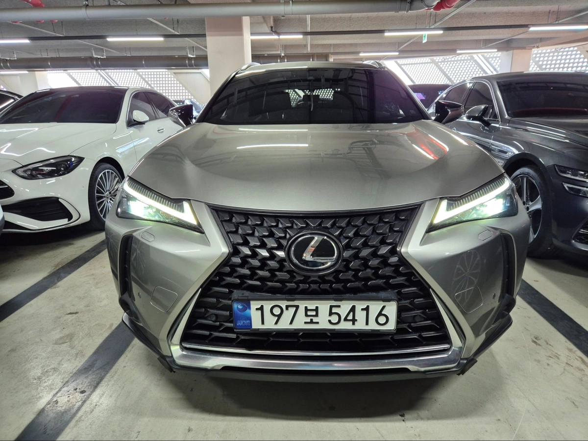 LEXUS UX250H