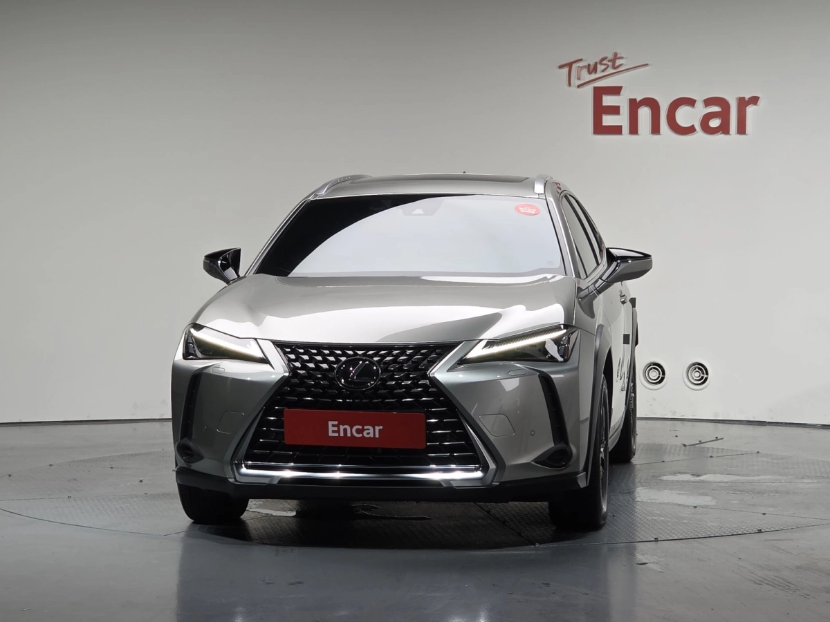 LEXUS UX250H