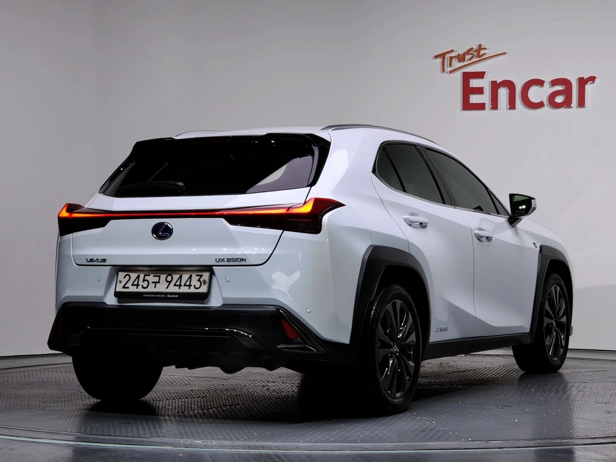 LEXUS UX250H