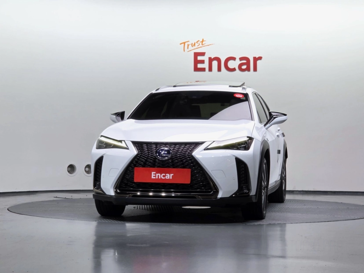 LEXUS UX250H